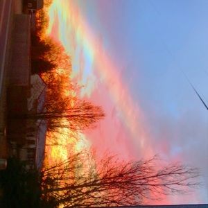 Meet your Posher, Connor